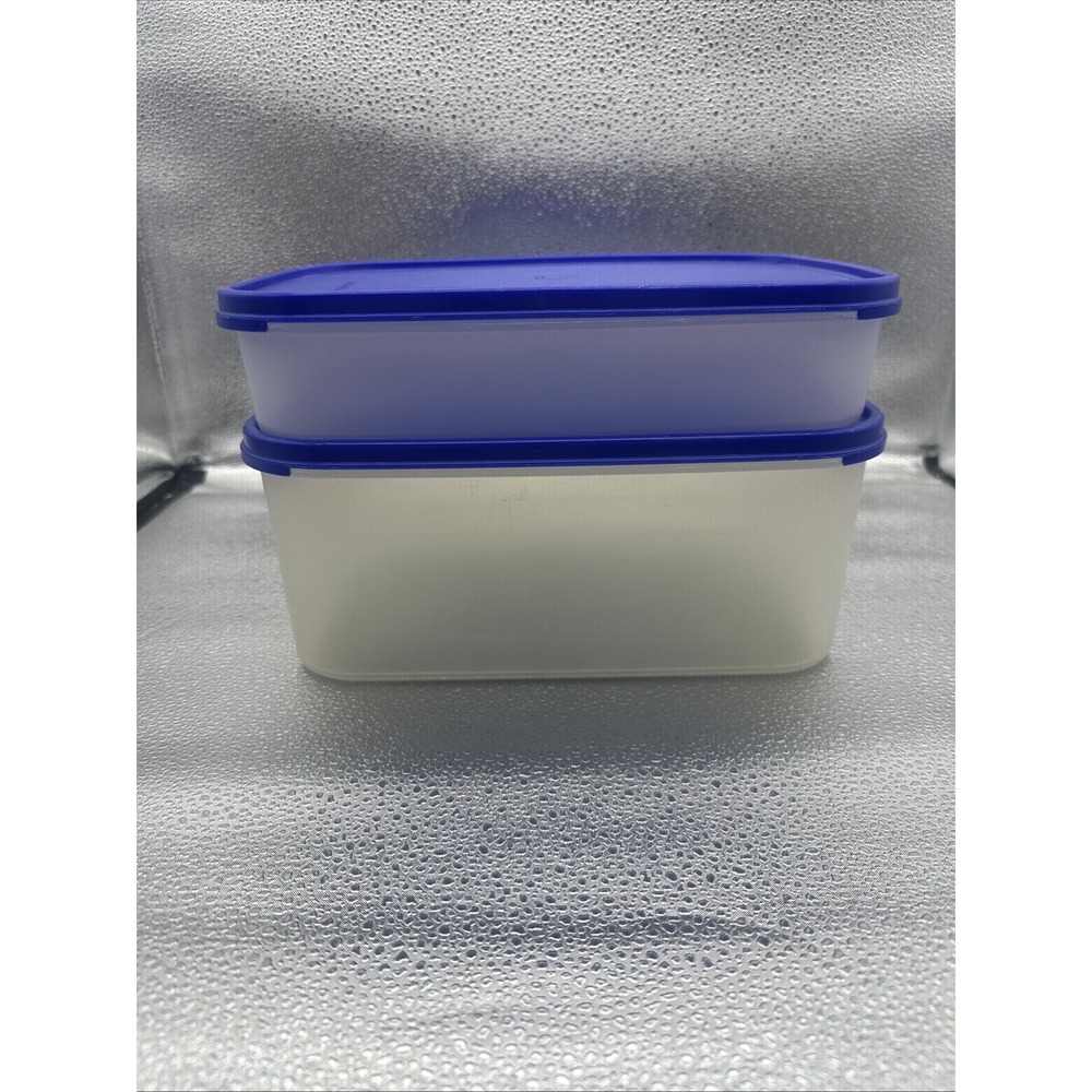 Tupperware Modular Mates CLEAR Rectangular W/Blue Lid